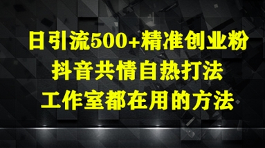 日引流500+精准创业粉,抖音共情自热打法,工作室都在用的方法 日引流500+精准创业粉,抖音共情自热打法,工作室都在用的方法