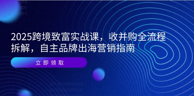 2025跨境致富实战课,收并购全流程拆解,自主品牌出海营销指南-聚林创库