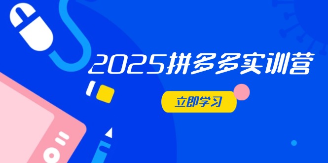 2025拼多多实训营：深度剖析运营关键，助力电商人快速提升-聚林创库