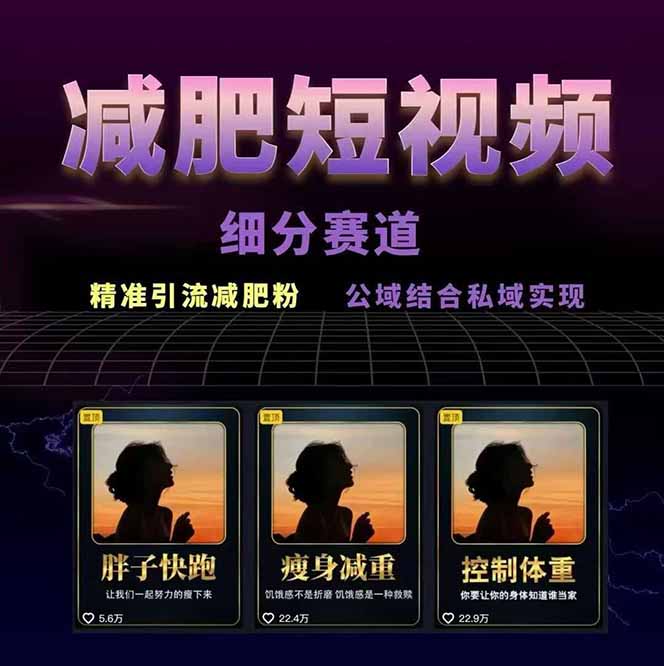 减肥短视频赛道运营课:素材准备-视频制作-引流变现全流程 (附素材 减肥短视频赛道运营课:素材准备-视频制作-引流变现全流程 (附素材