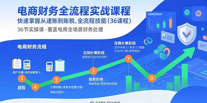 电商财务全流程实战课程:快速掌握从建账到报税的全流程技能(36节课-聚林创库