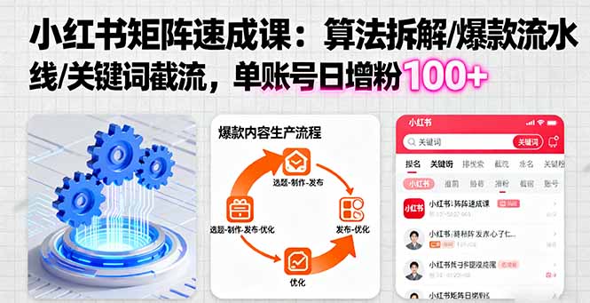 小红书矩阵引流获客速成课:矩阵推广技巧,单账号日增粉100+-聚林创库